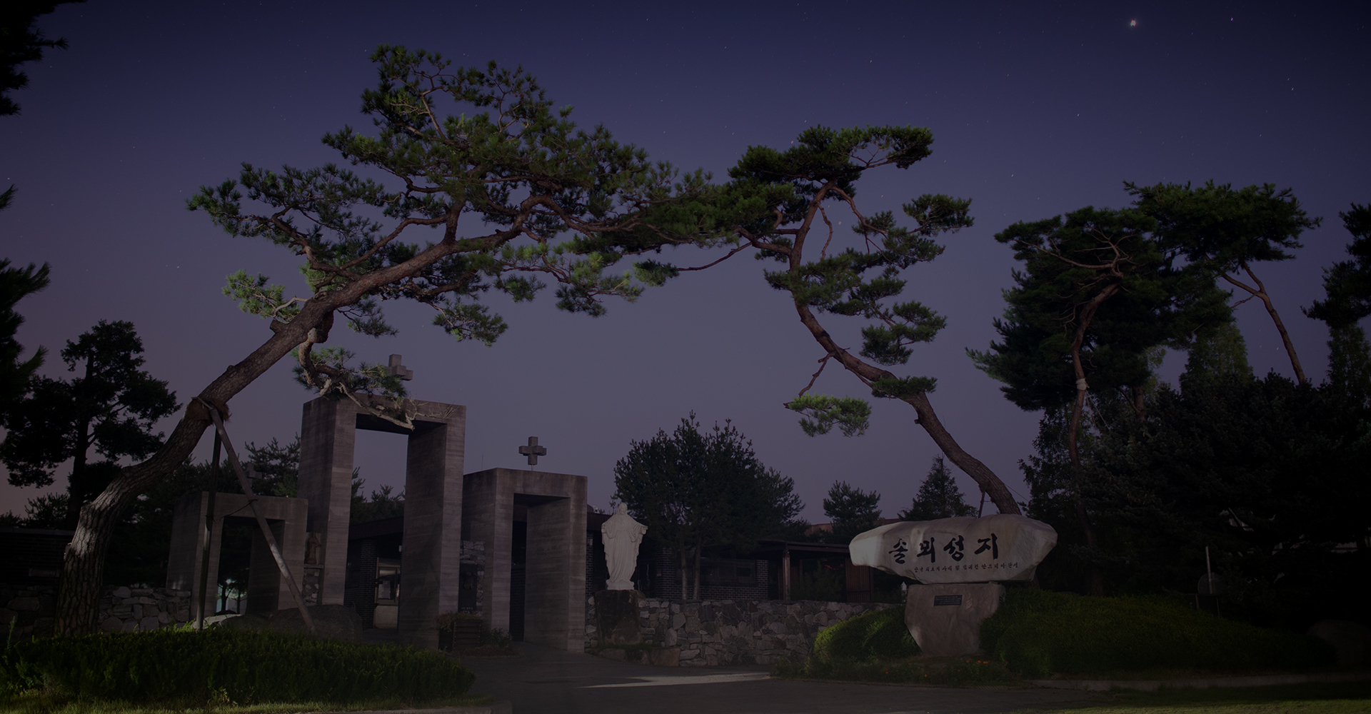 “너희는 온 세상에 가서 모든 피조물에게 복음을 선포하여라.”|(마르 16,15)